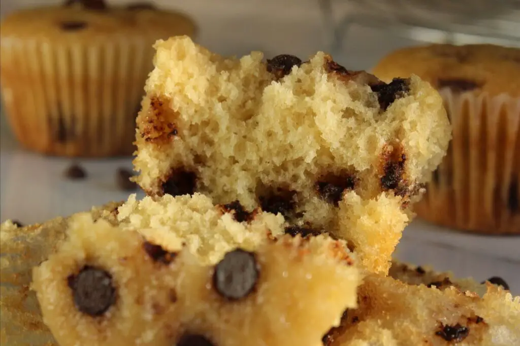 moist chocolate chip cupcakes