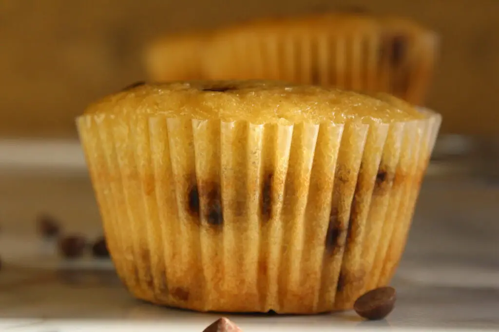 chocolate chip cupcakes easy recipe