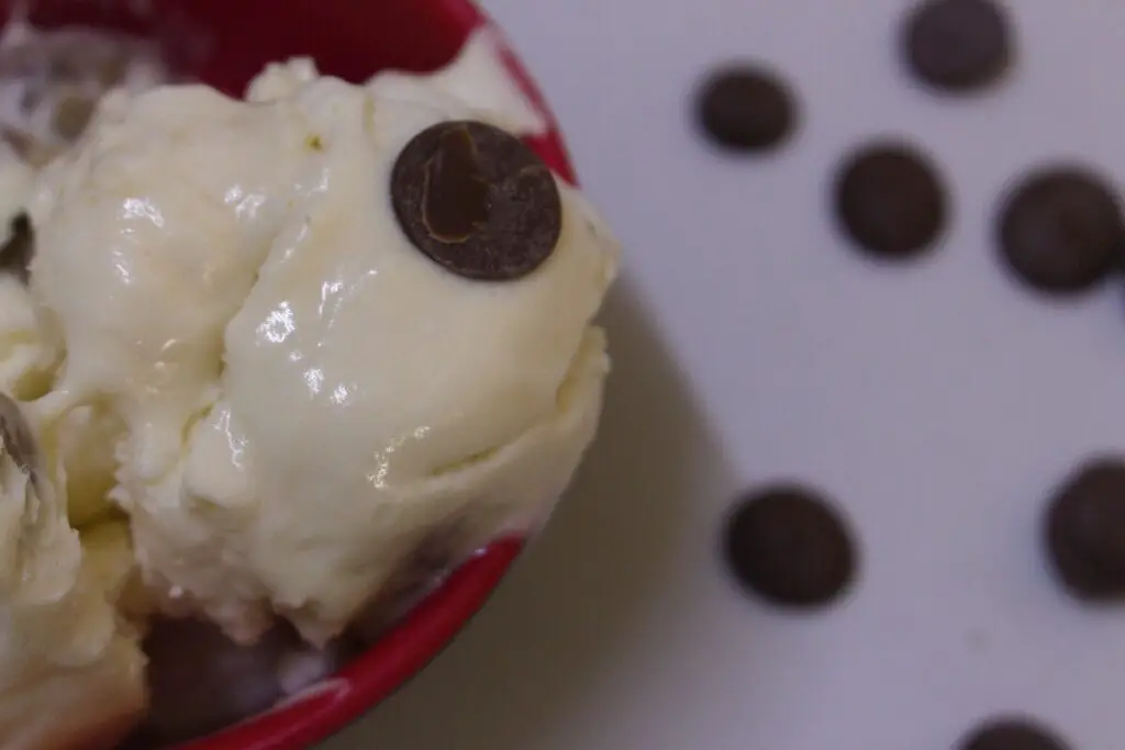 best chocolate chip cookies dough ice cream no egg