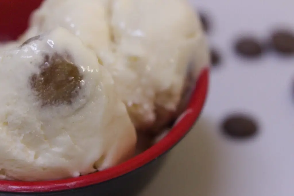 homemade cookie dough ice cream with machine