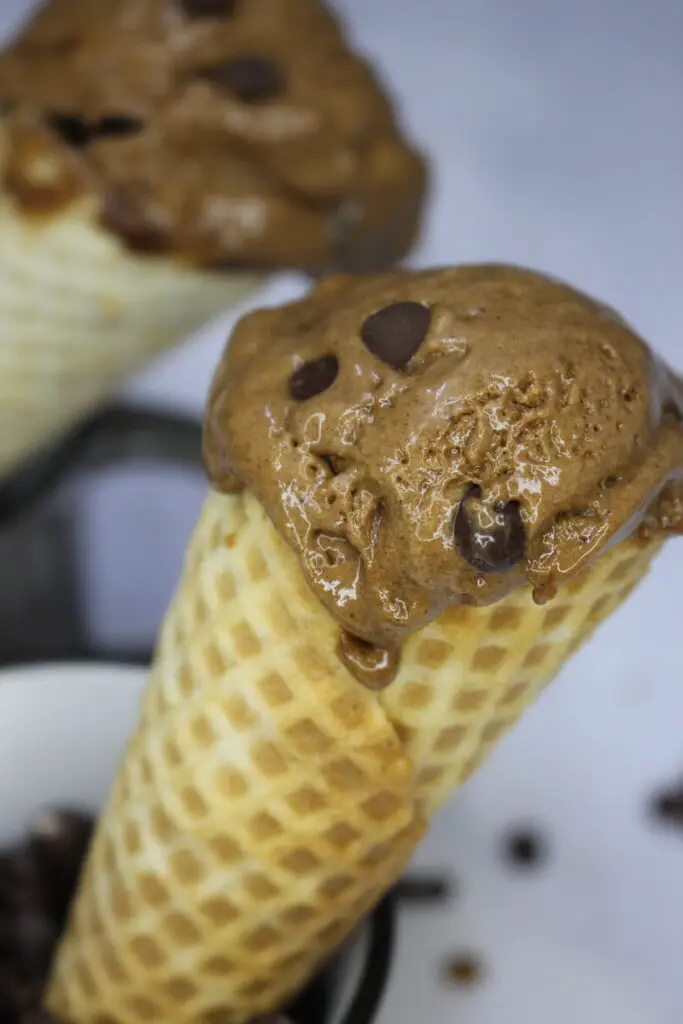 homemade mocha chip ice cream