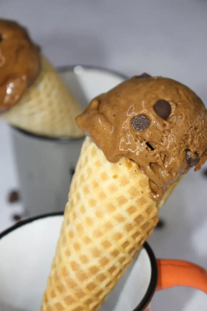 chocolate chip ice cream recipe