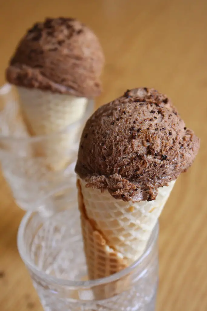 homemade mocha ice cream recipe