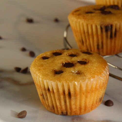 mini chocolate chip cupcakes