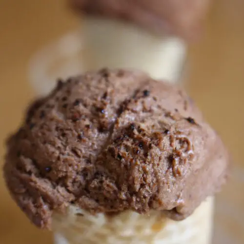 mocha chip ice cream