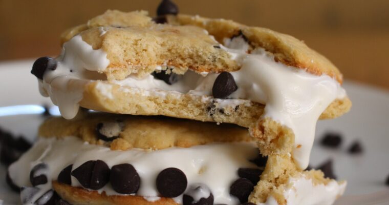 Homemade Chocolate Chip Cookie Ice Cream Recipe