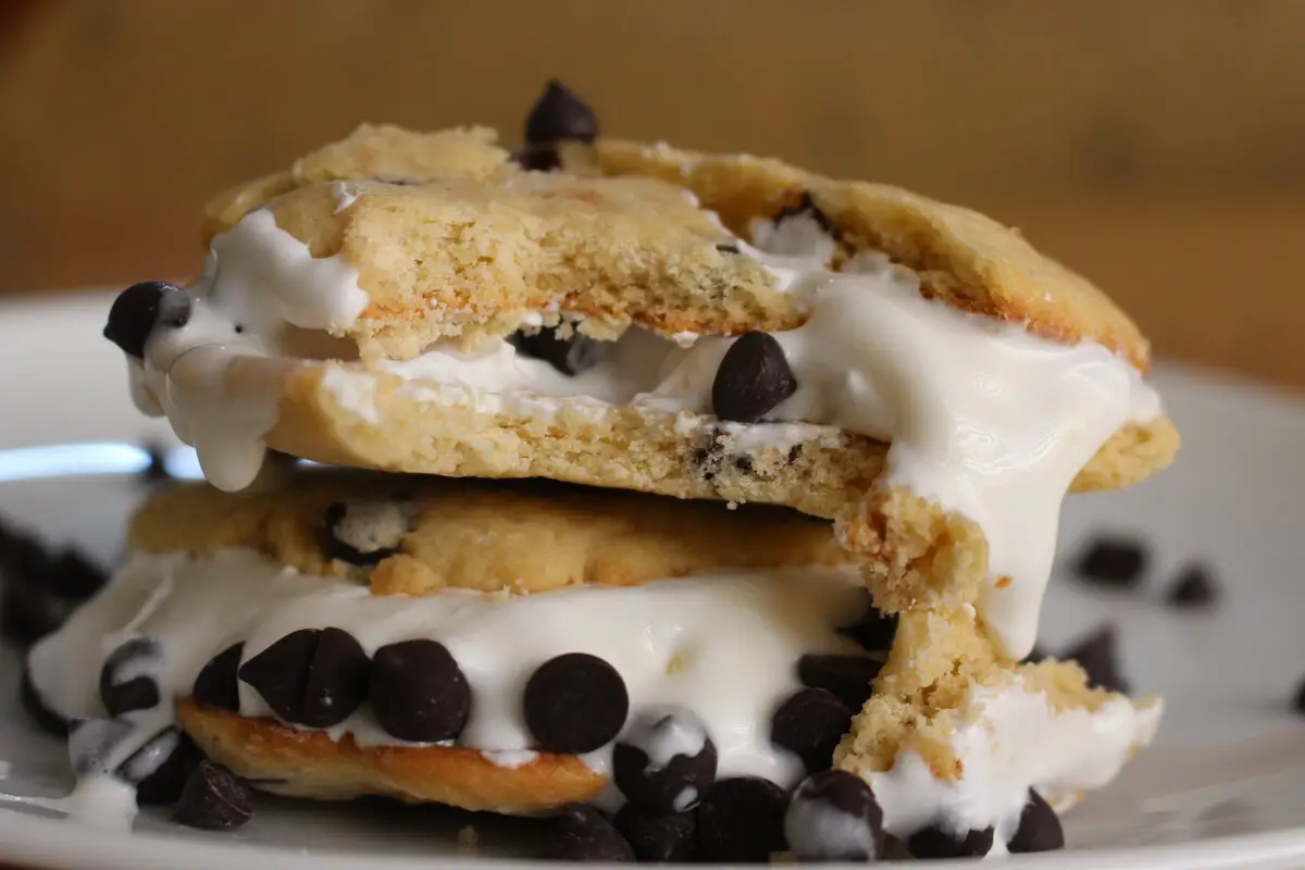 Homemade Chocolate Chip Cookie Ice Cream Recipe