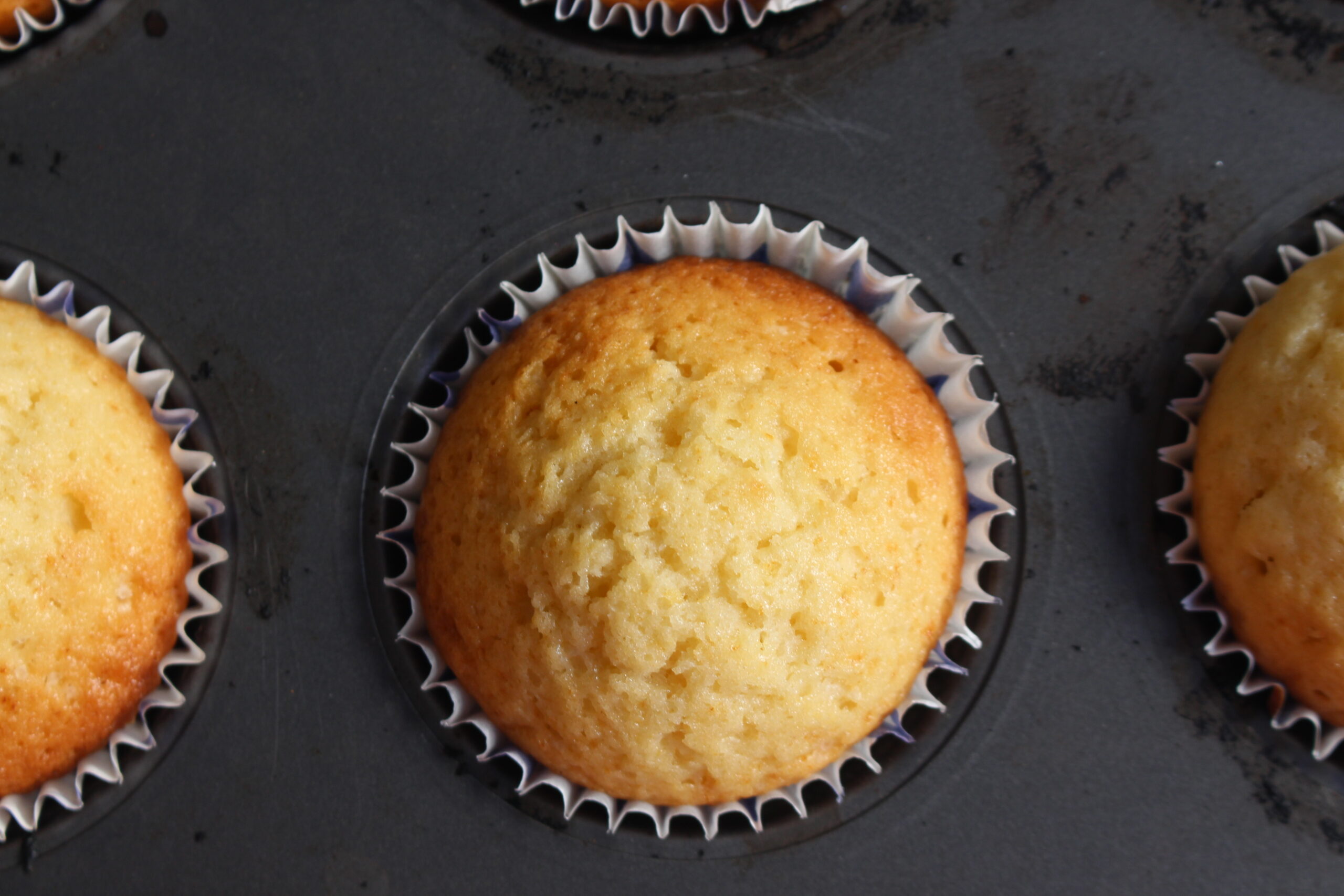 Snowball Cupcakes 