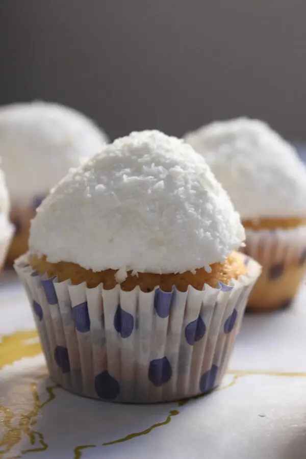 chocolate snowball cupcakes